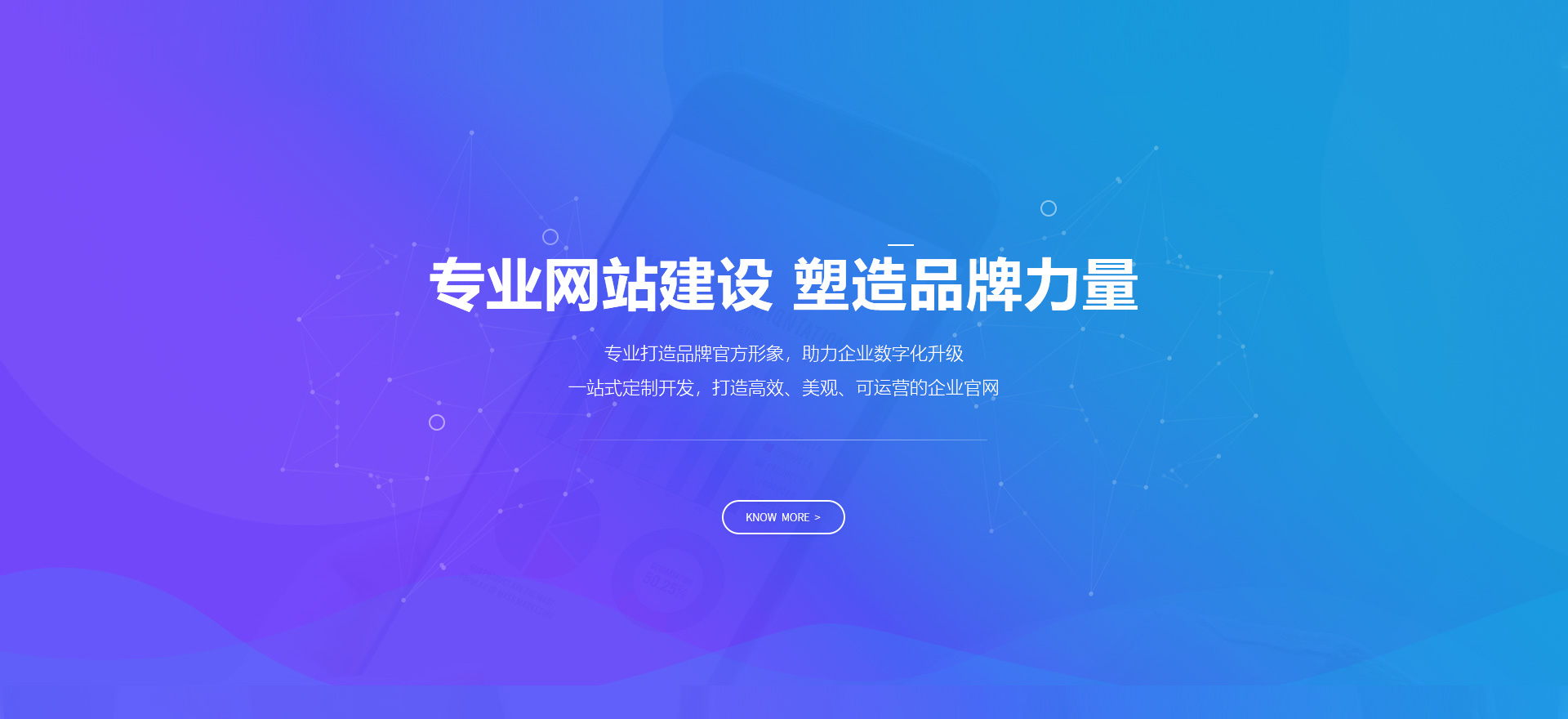 海北建站-专业网站建设 塑造品牌力量