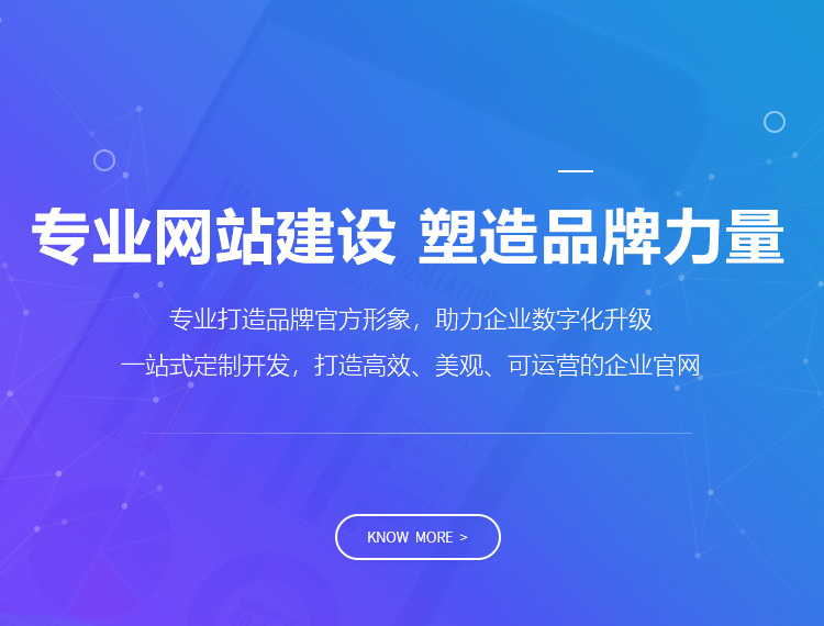 海北建站-专业网站建设 塑造品牌力量